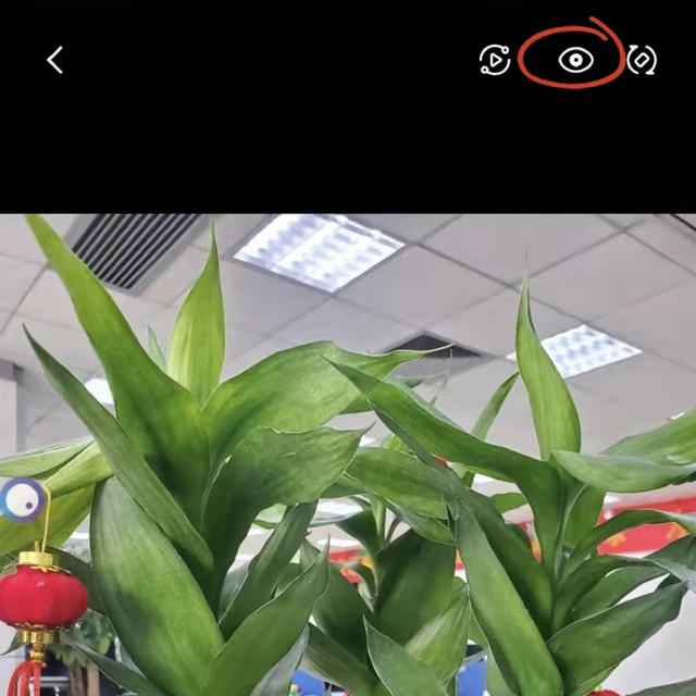 一键识别网图的软件_一键识别网图的软件名字 一键辨认网图的软件_一键辨认网图的软件名字（网图辨别软件） 必应词库