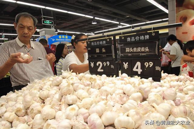 今年大蒜价格是多少钱一斤（大蒜现在市场价多少钱一斤）