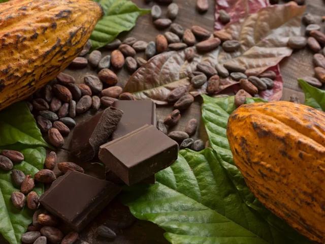 世界上最贵的巧克力长什么样（世界上最贵的巧克力排行榜）