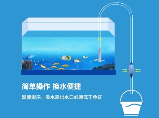三年级下册写小实验_小学三年级下册小实验怎么做_我做了一项小实验300字三年级下册