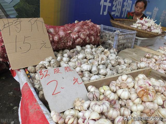 今年大蒜价格是多少钱一斤（大蒜现在市场价多少钱一斤）