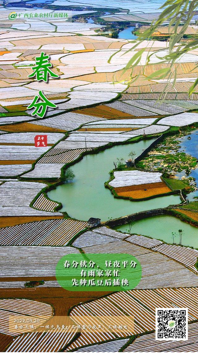 二十四节气农作物种植时间表二十四节气农业气候历