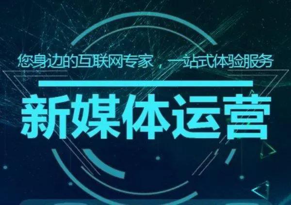 视频搜索排名_百度视频排行榜_百度视频收录排名