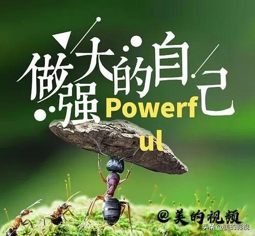 把作品删了重新养号可以吗移动花卡（抖音把作品删了重新养号可以吗）