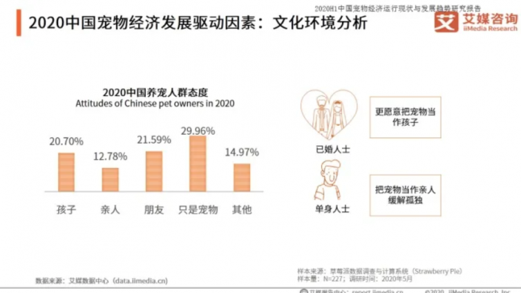 网络项目有哪些？如何打造宠物行业细分领域的暴利项目！