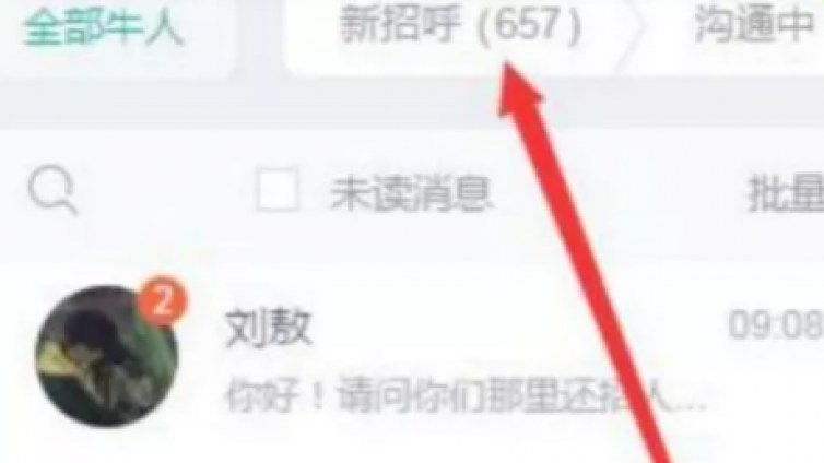 鲜为人知Boss直聘项目，轻松精准引流200+，每单100-2000元！