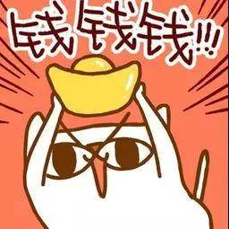 收入