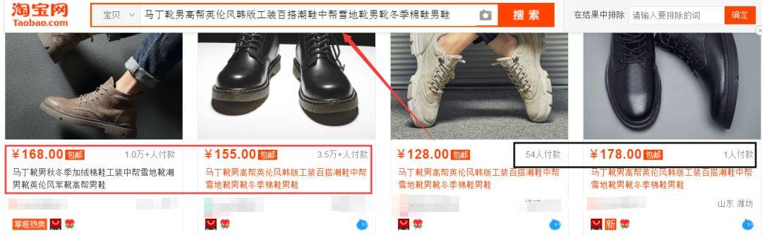 网络营销项目