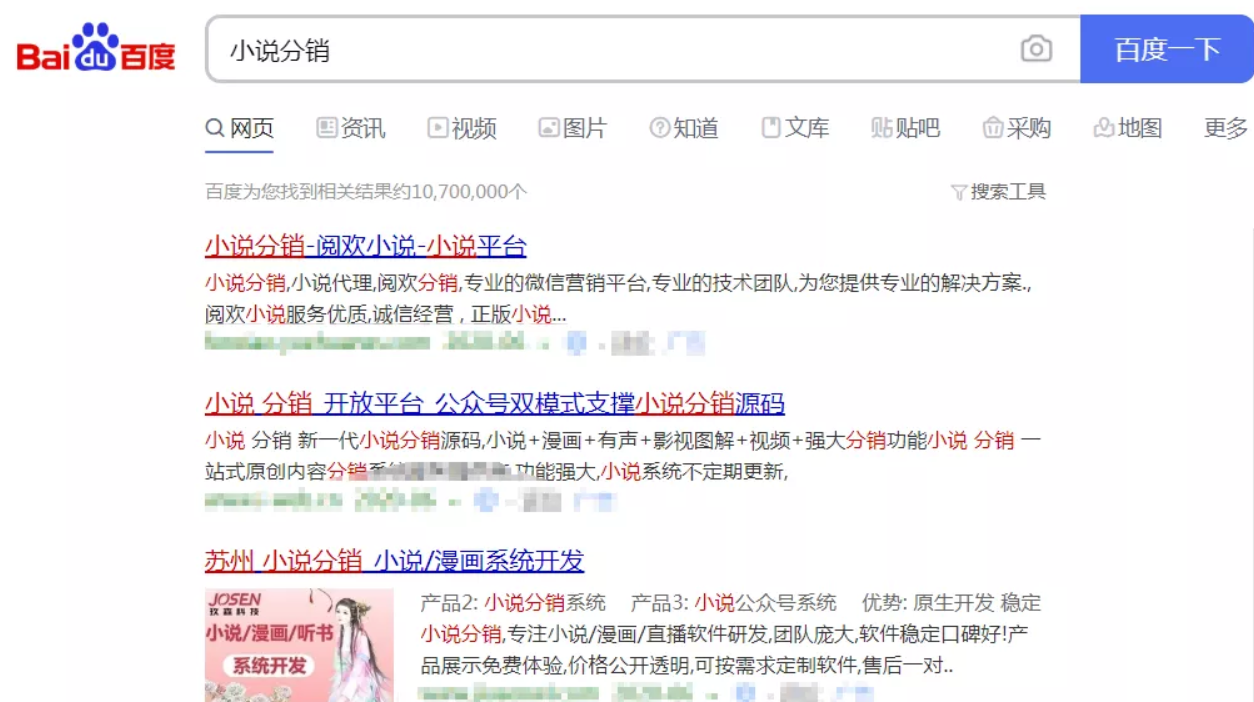 网络营销项目