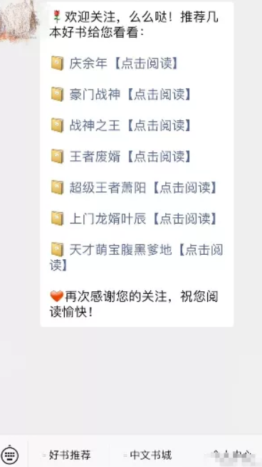 网络营销项目