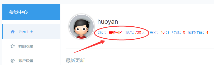 网络营销项目
