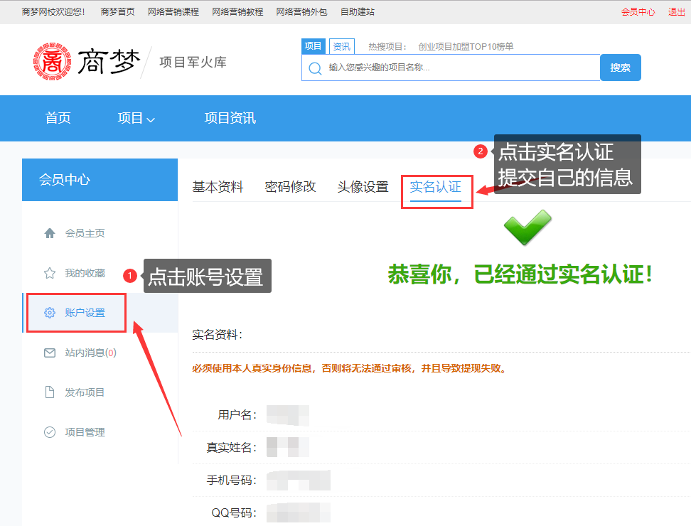 网络营销项目