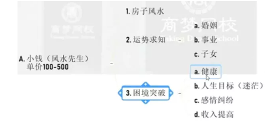 网络营销项目