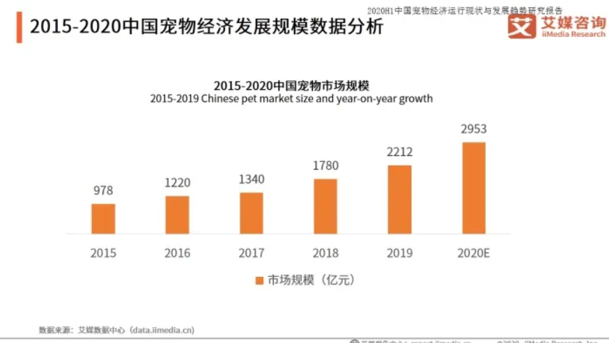 网络项目