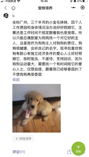 网络项目