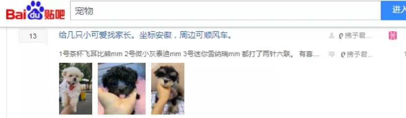 网络项目