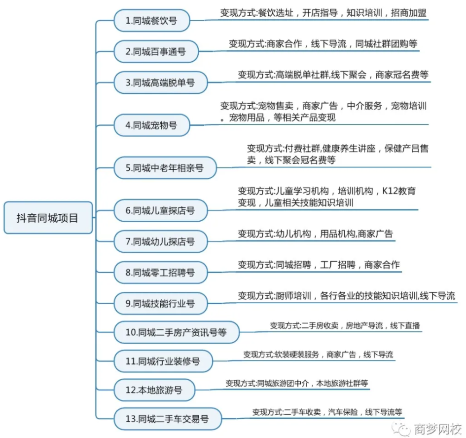 抖音项目