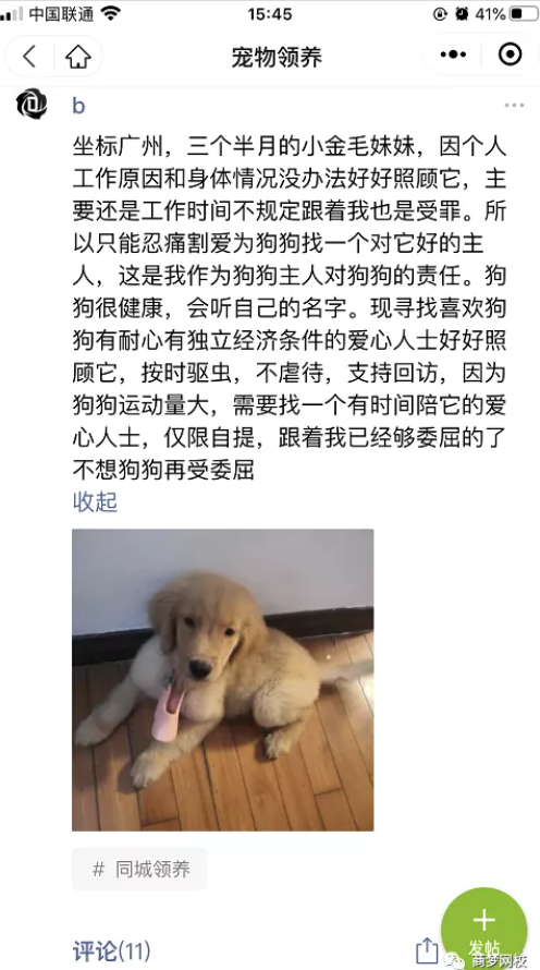 网络营销项目