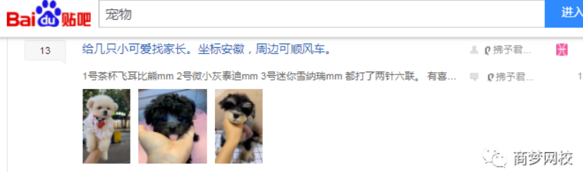 网络营销项目
