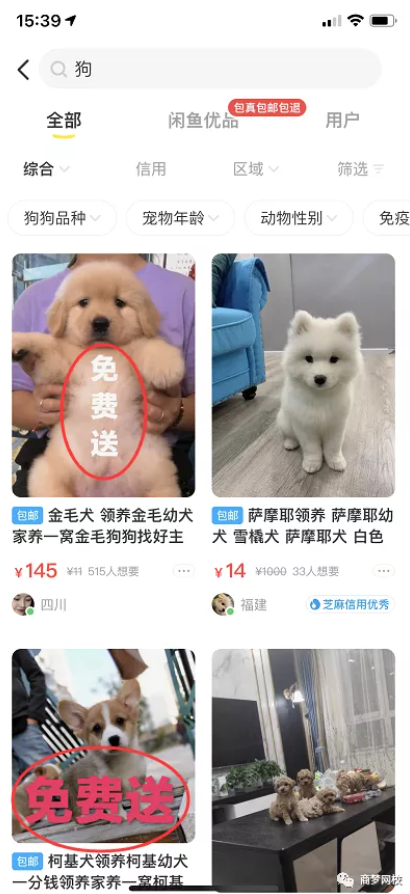 网络营销项目