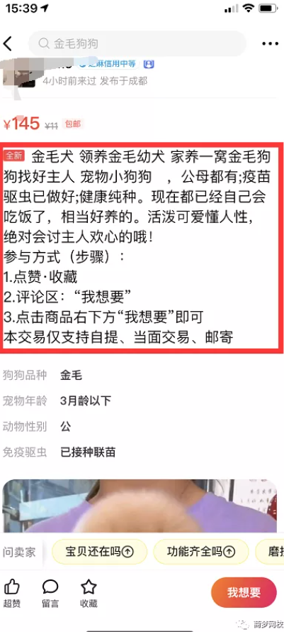 网络营销项目