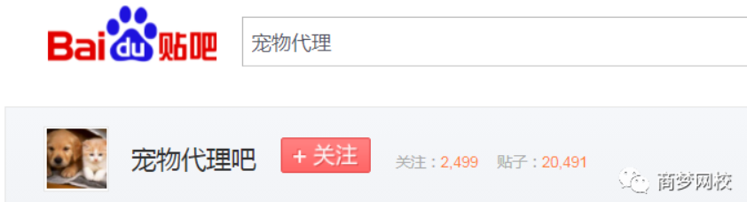 网络营销项目
