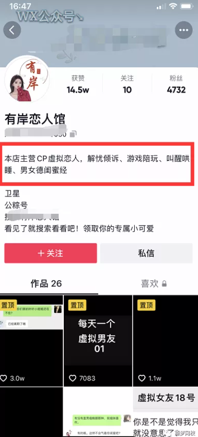 网络营销项目